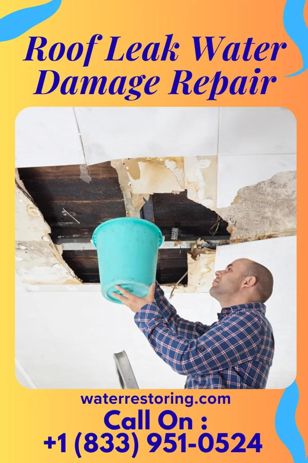 Roof Leak Water Damage Repair in Montverde, FL
