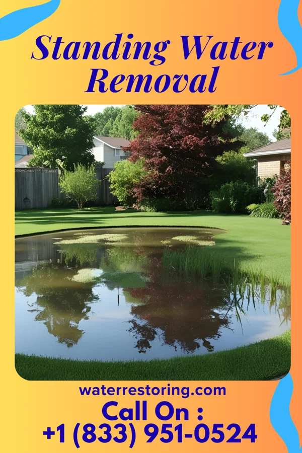 Standing Water Removal in Montverde, FL